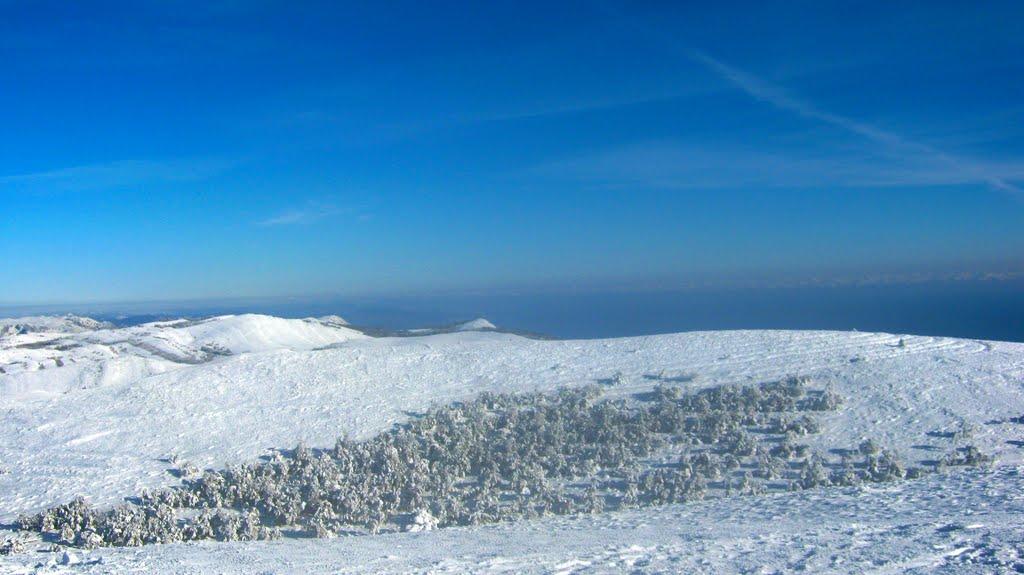 Лаванда з panoramio.com (ч.2) - Lavanda
