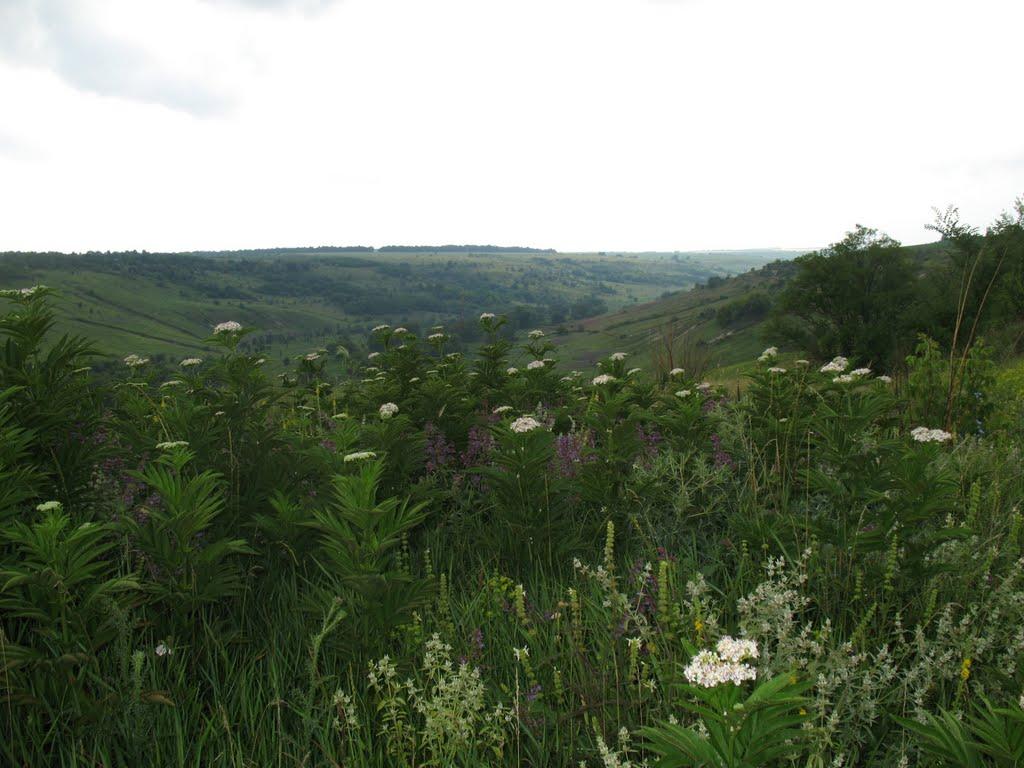 Верхня Слобідка з panoramio.com - Верхня Слобідка