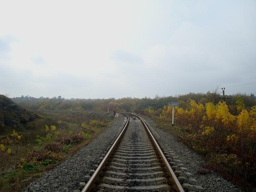 Вільхівчик з panoramio.com - Vilkhivchyk