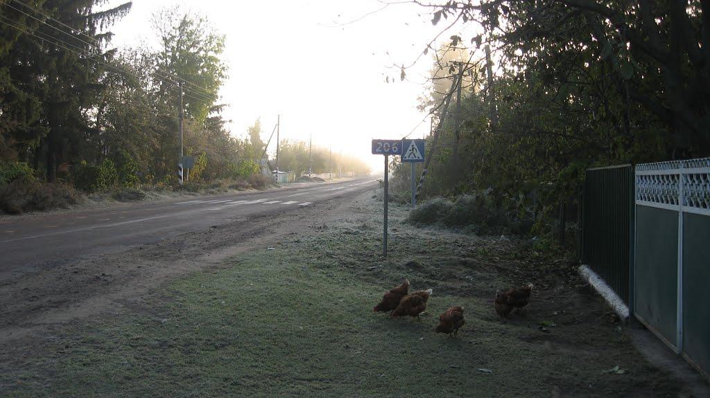 Сліпчиці з panoramio.com - Сліпчиці