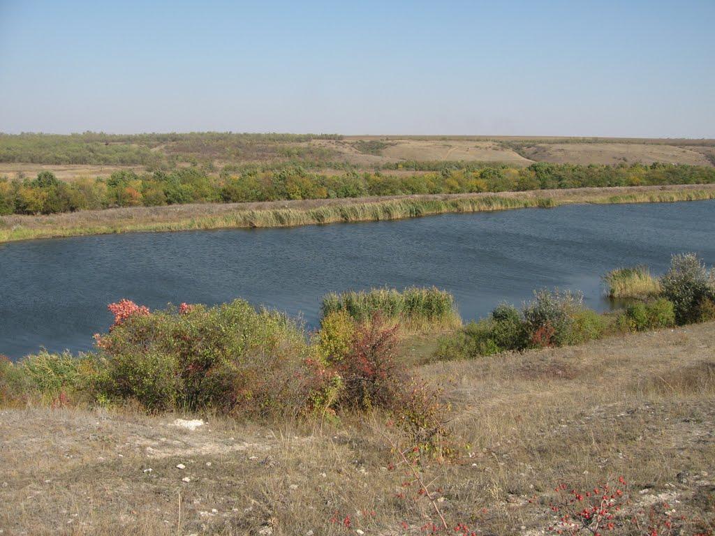 Єлизаветівка з panoramio.com - Елизаветовка