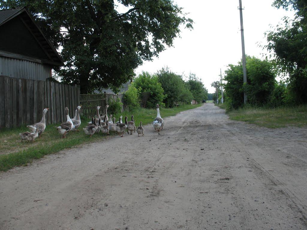 Макошине з panoramio.com - Макошино