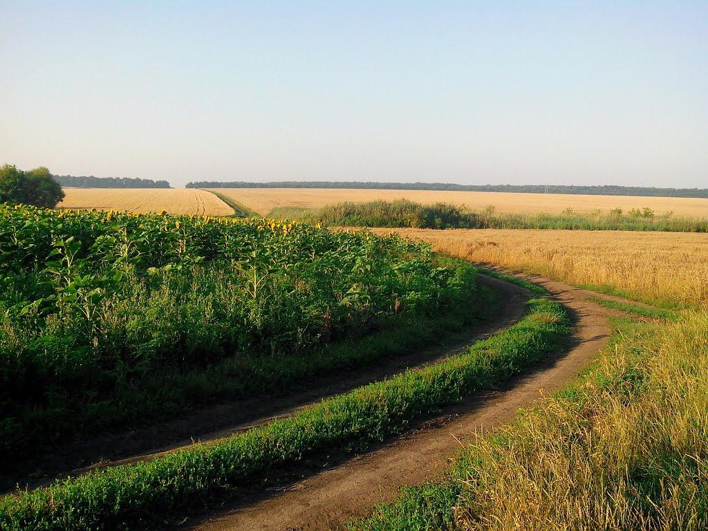 Бузникувате з panoramio.com - Бузникувате