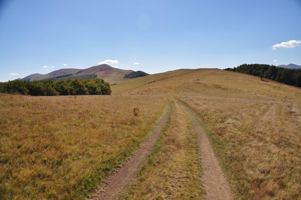 Розтока з panoramio.com - Ростока