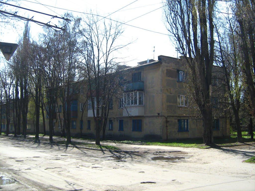 Кам'яне Поле з panoramio.com - Кам'яне Поле