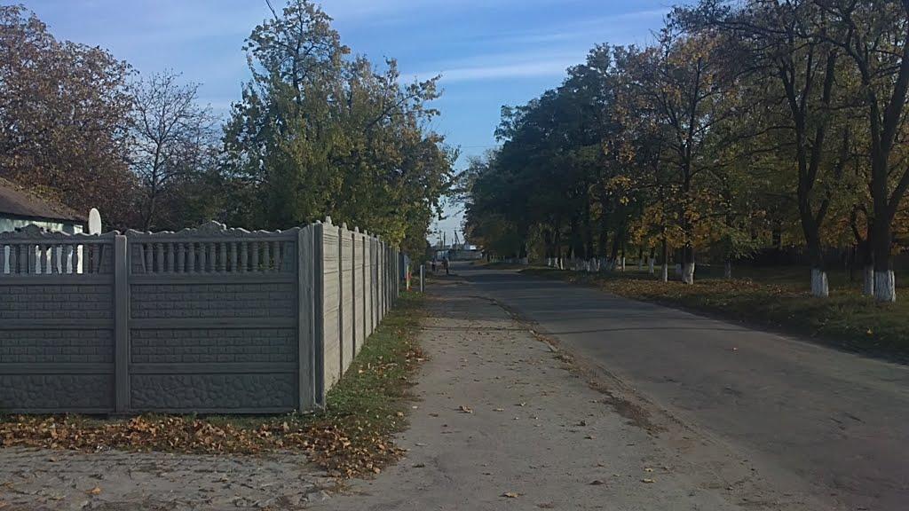 Лиман з panoramio.com - Лиман