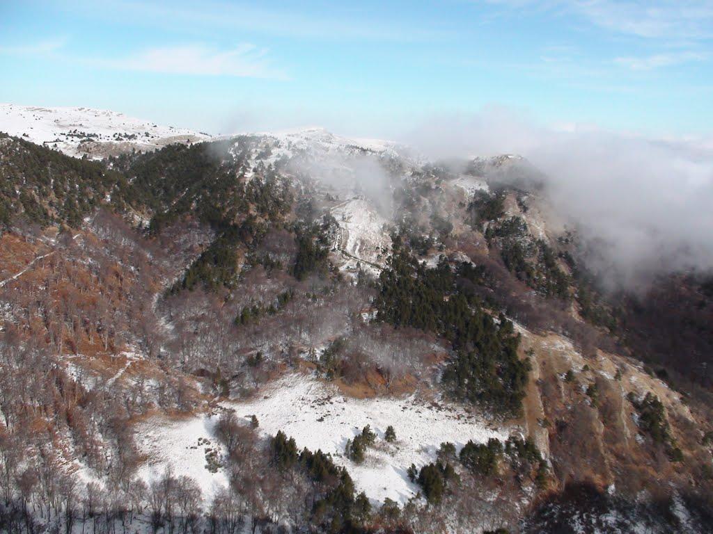 Совєтське з panoramio.com (ч.2) - Советское