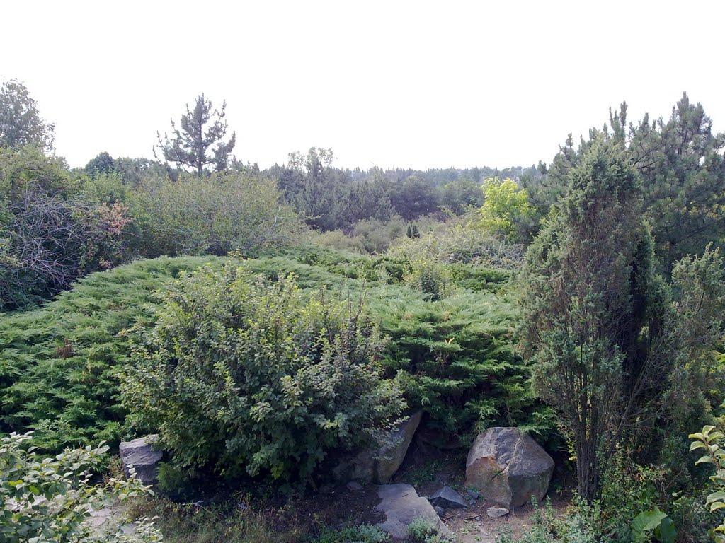 Кам'яне Поле з panoramio.com - Кам'яне Поле