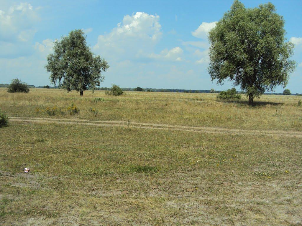 Шестовиця з panoramio.com - Шестовиця