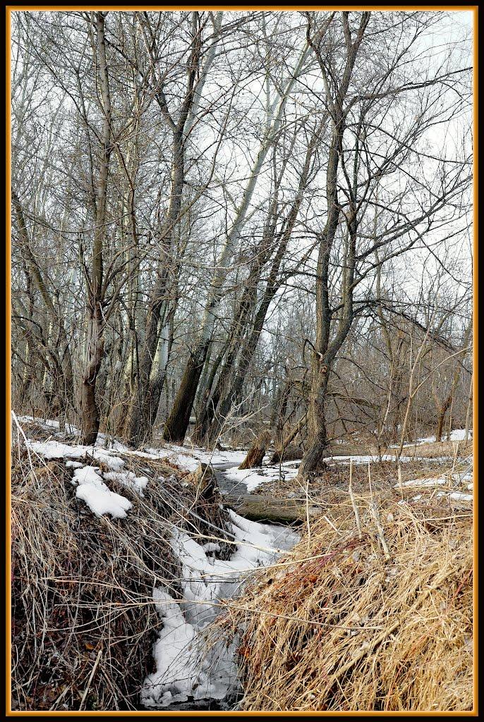 Привілля з panoramio.com - Приволье