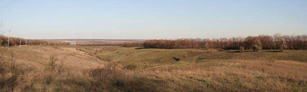 Дмитрівка з panoramio.com - Дмитровка