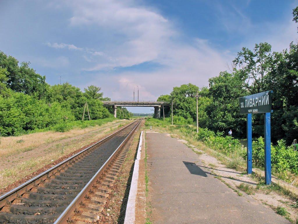 Ківшарівка з panoramio.com - Ківшарівка