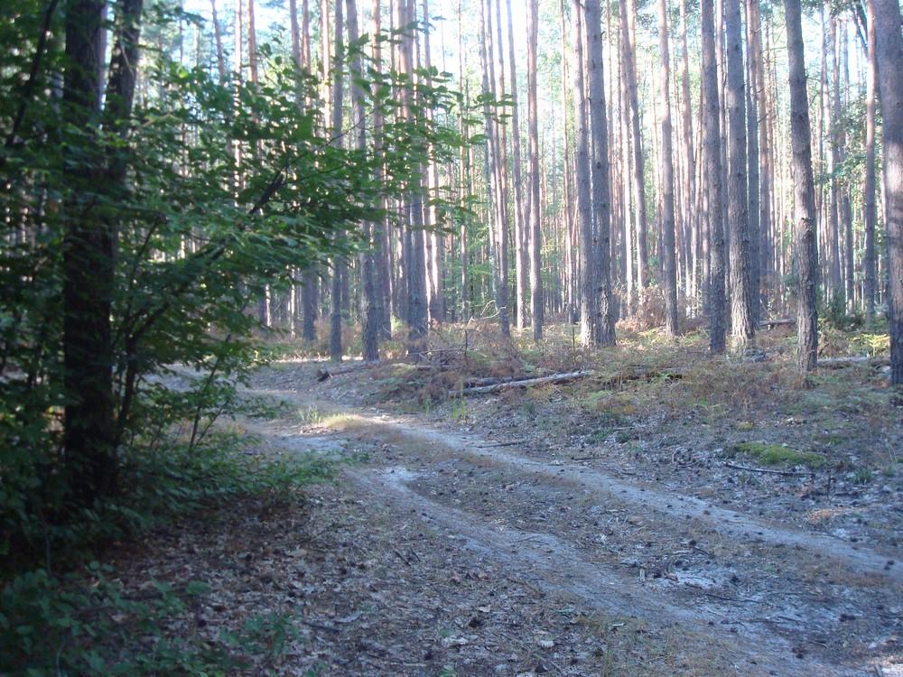 Пісківка з panoramio.com - Пісківка