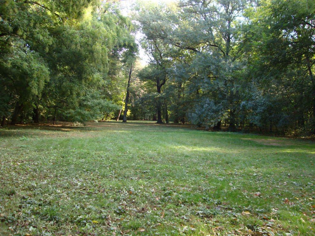 Асканія-Нова з panoramio.com - Askaniya-Nova