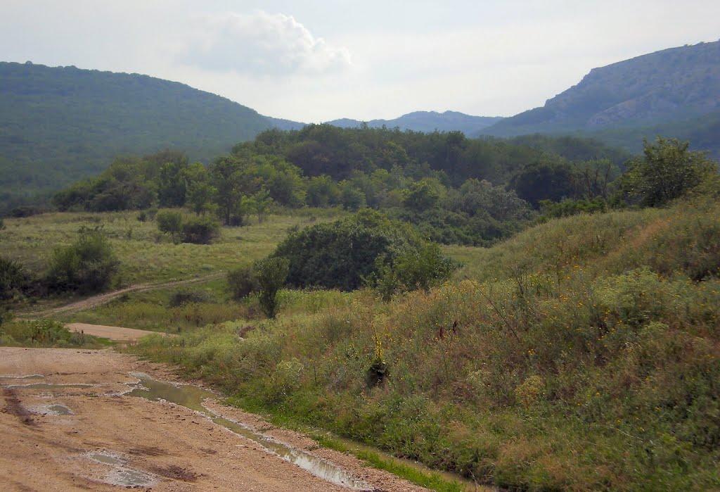 Голованівка з panoramio.com - Голованівка