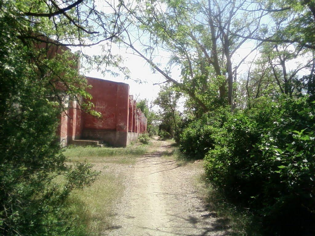 Роздольне з panoramio.com - Роздольне