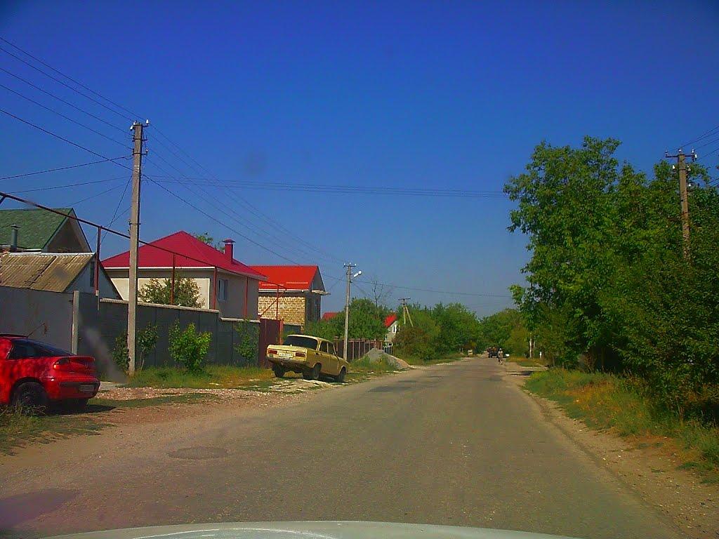 Чистеньке з panoramio.com - Чистеньке