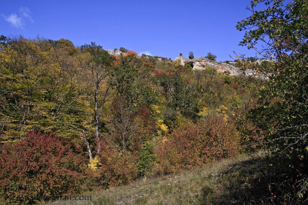 Генеральське з panoramio.com (ч.3) - Generalske