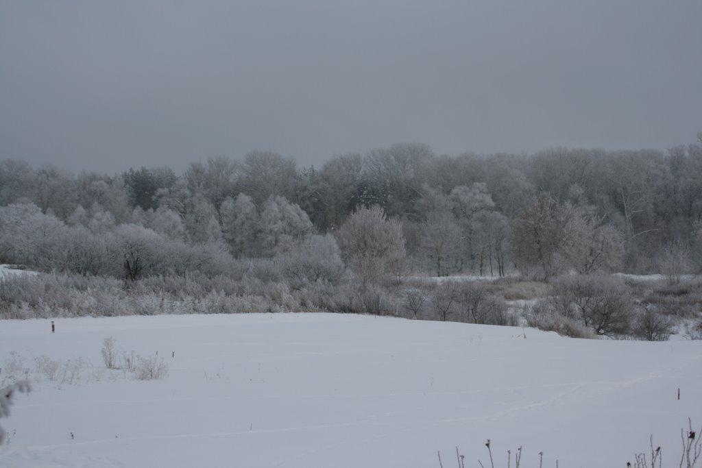 Завгороднє з panoramio.com - Завгороднее
