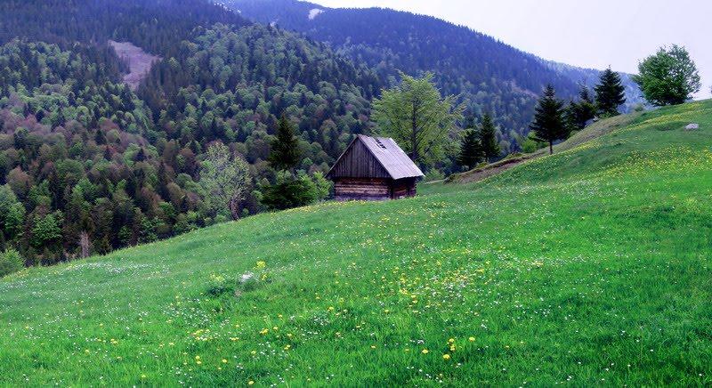 Синевирська Поляна з panoramio.com - Синевирская Поляна