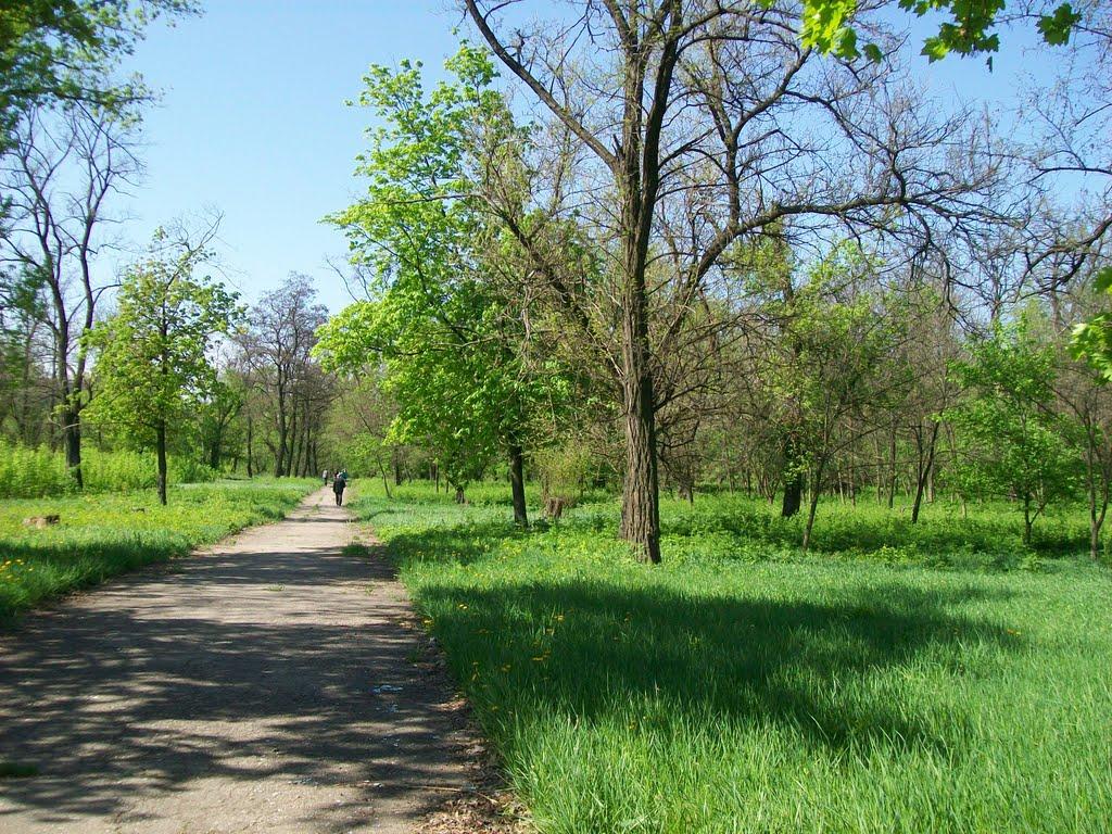 Дружківка з panoramio.com - Дружківка