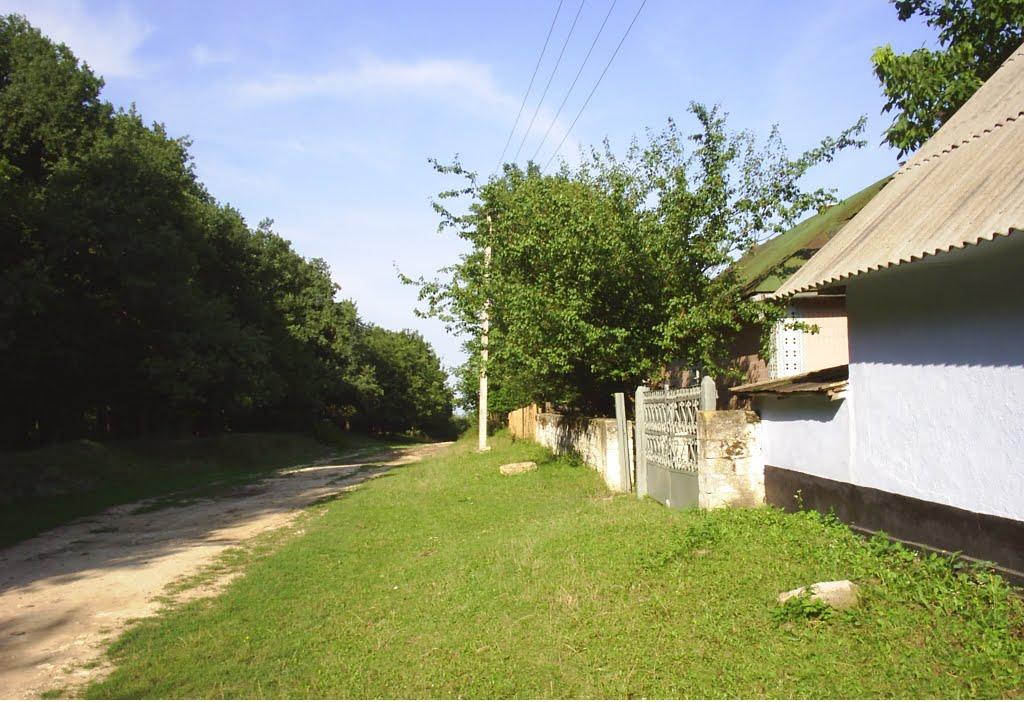 Голинчинці з panoramio.com - Голинчинці