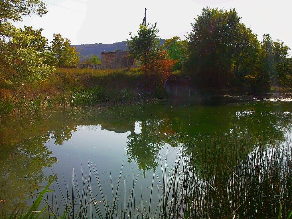 Красний Мак з panoramio.com - Красный Мак
