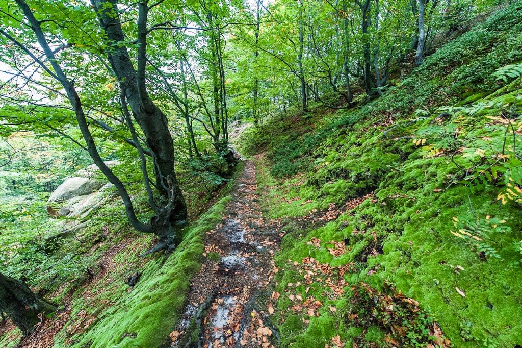 Розгірче з panoramio.com - Розгірче