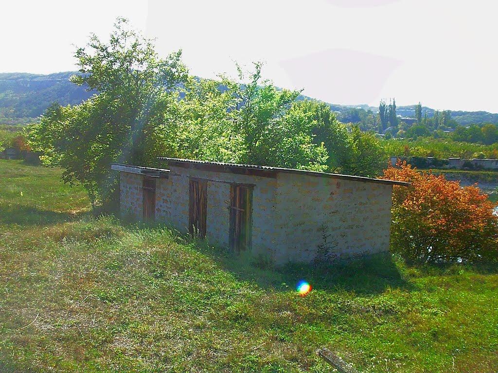 Красний Мак з panoramio.com - Красный Мак