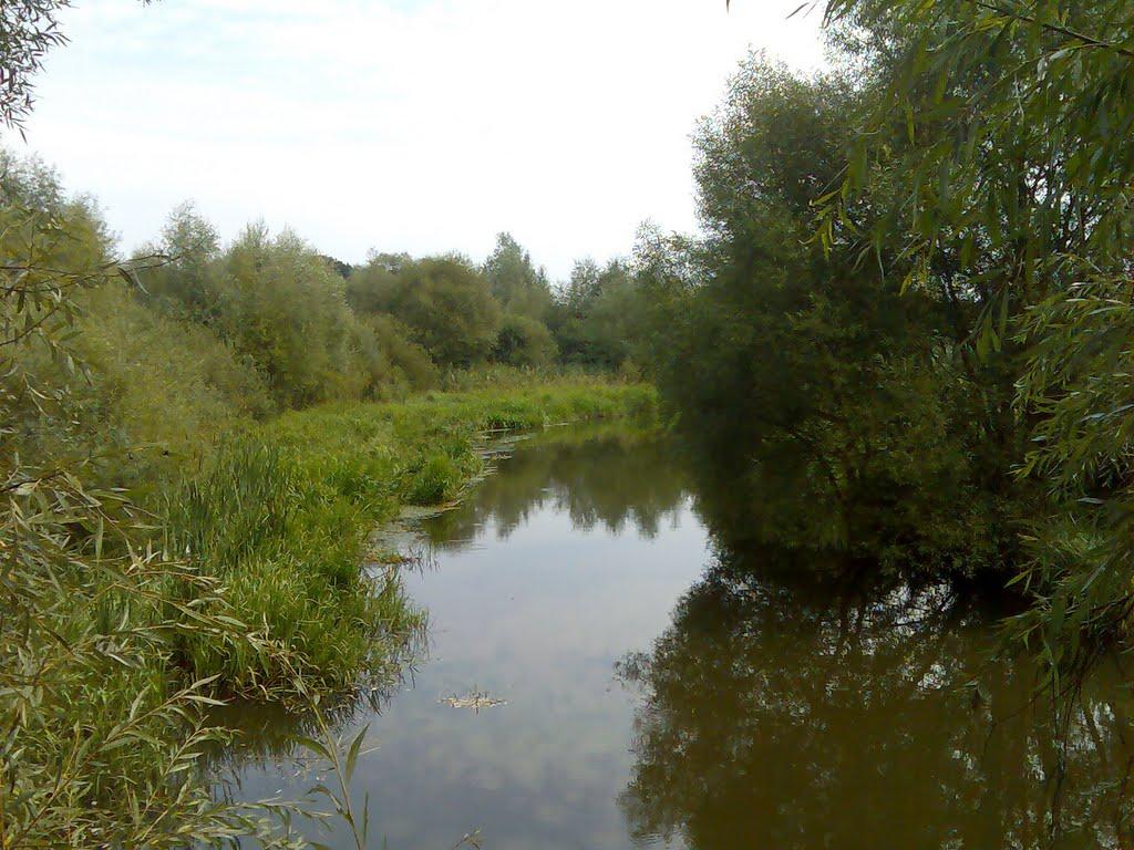 Моломолинці з panoramio.com - Моломолинці