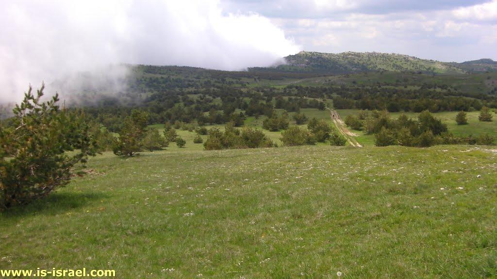 Совєтське з panoramio.com (ч.2) - Советское