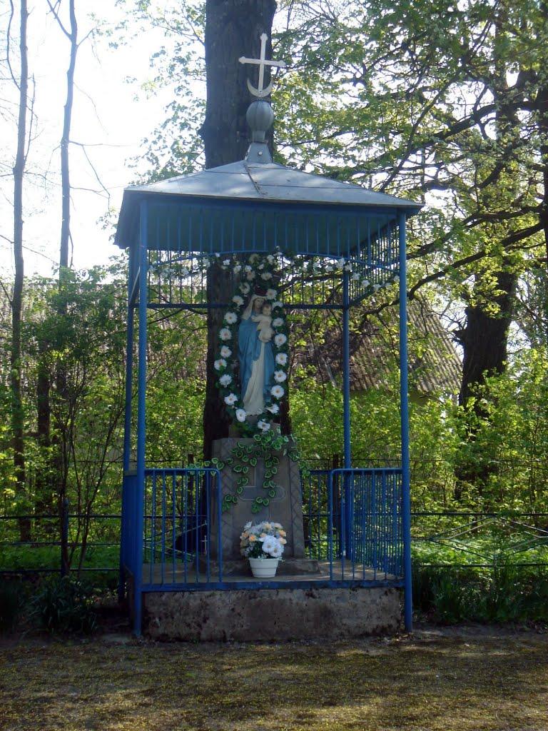 Новошичі з panoramio.com - Новошичі