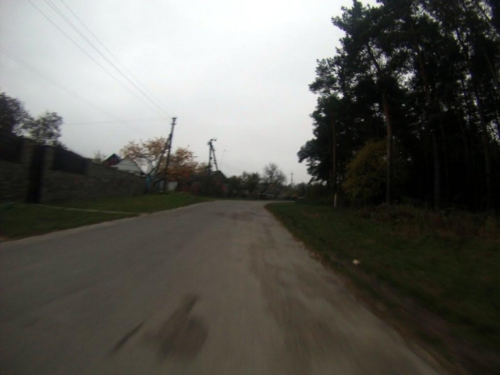 Новоград-Волинський з panoramio.com (ч.3) - Новоград-Волинський