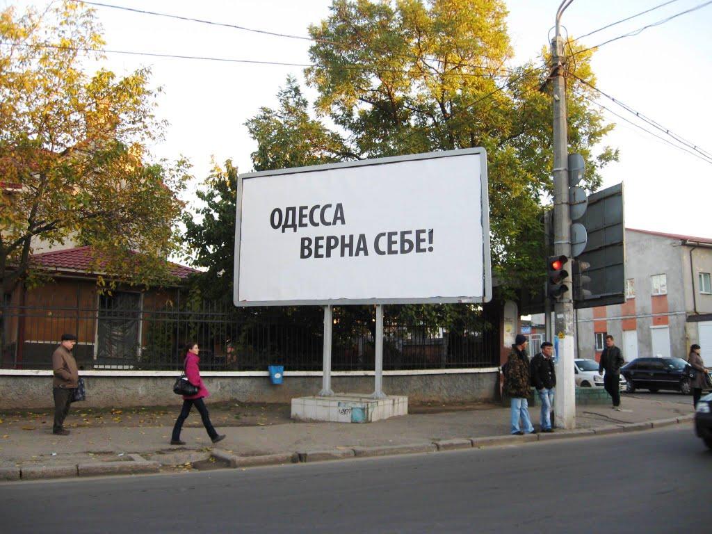 Новоград-Волинський з panoramio.com (ч.3) - Новоград-Волинський