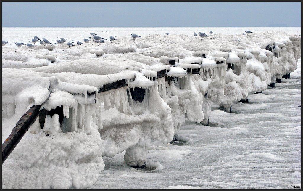 Корсунці з panoramio.com - Korsuntsi