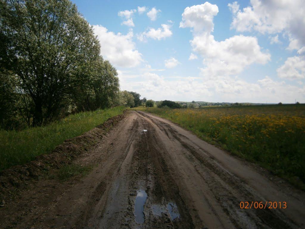 Берездівці з panoramio.com - Берездовцы
