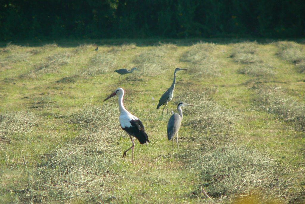 Мале Попово з panoramio.com - Малое Поповое