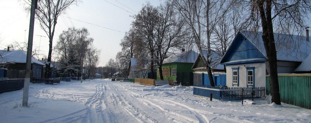 Містки з panoramio.com - Містки