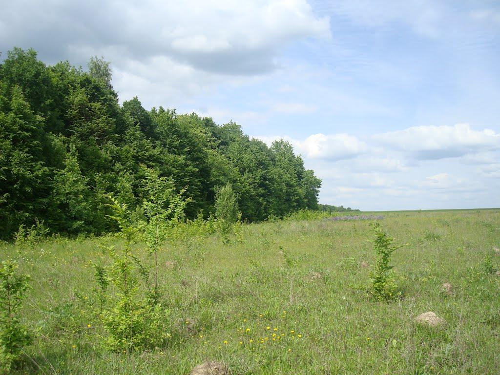 Мала Стружка з panoramio.com - Мала Стружка