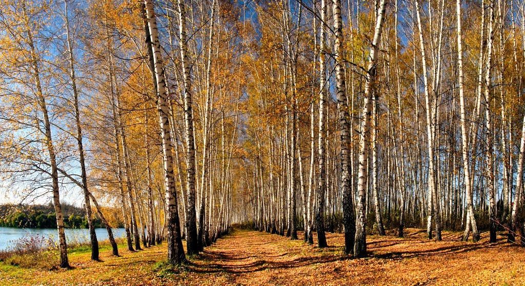 Люботин з panoramio.com (ч.2) - Lyubotyn