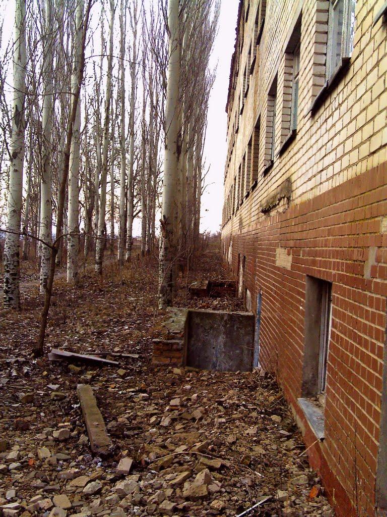 Гур'ївка з panoramio.com - Гур'ївка