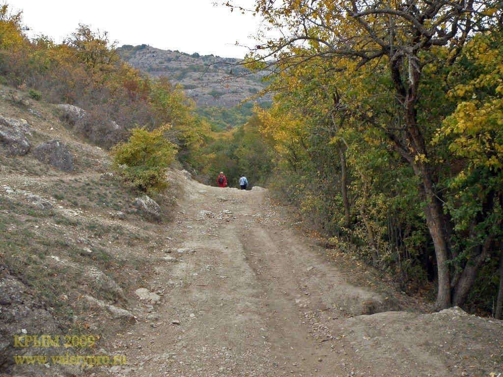 Чайковське з panoramio.com (ч.2) - Чайковське