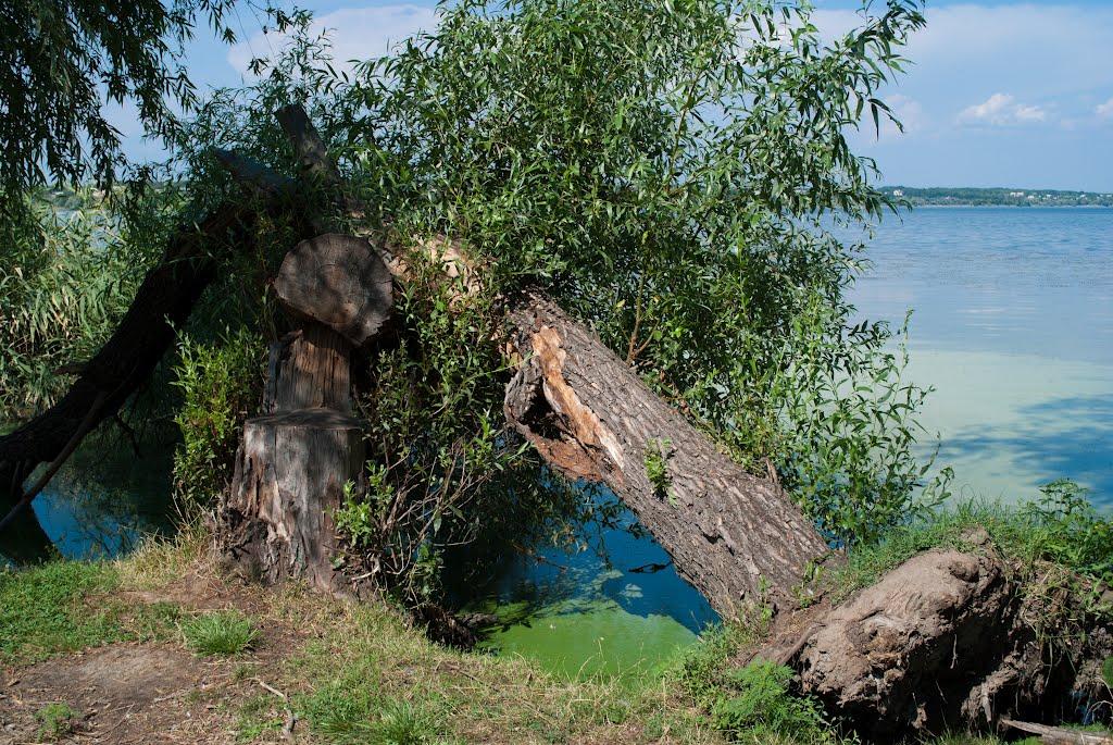 Нікополь з panoramio.com (ч.2) - Никополь