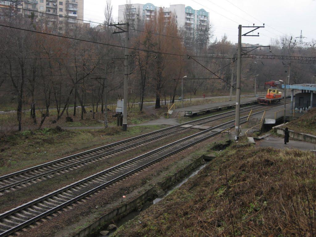 Софіївська Борщагівка з panoramio.com (ч.2) - Софиевская Борщаговка