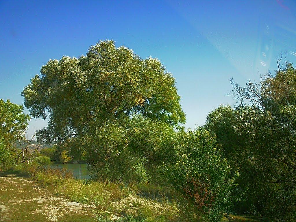 Холмівка з panoramio.com - Холмівка