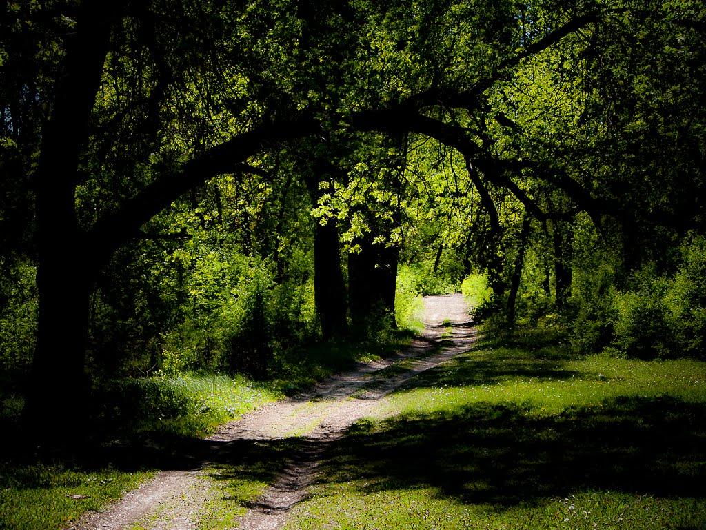 Брянка з panoramio.com (ч.2) - Брянка