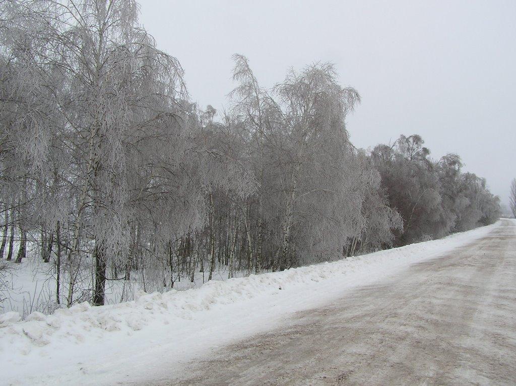 Вигів з panoramio.com - Вигів