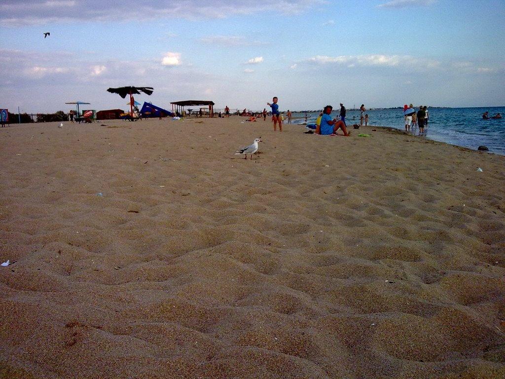 Молочне з panoramio.com - Молочное