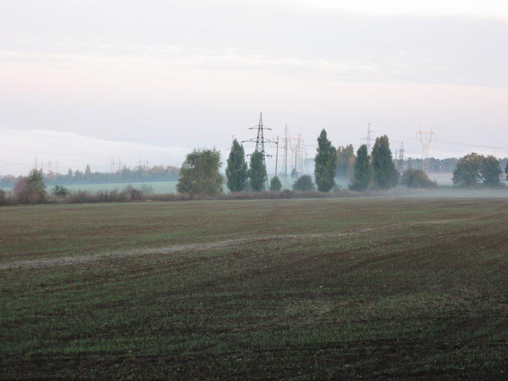 Василівка з panoramio.com - Василівка