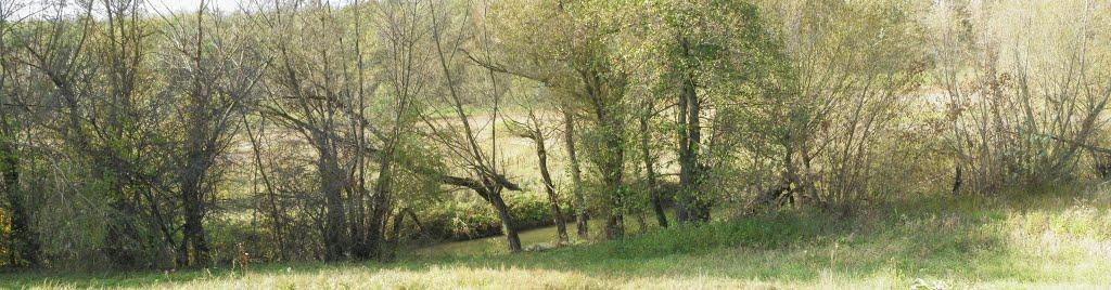 Снітівка з panoramio.com - Снитовка